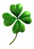 four_leafed_shamrock_symbol_of_luck_and_saint_patrrick