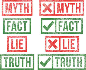 SO TRUMP’S ELECTION FRAUD CLAIMS ARE ‘THE BIG LIE’ ? WELL, CHECK THIS OUT DIMWITS
